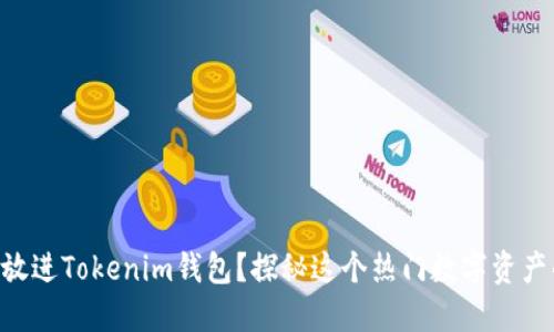 ONT能否放进Tokenim钱包？探秘这个热门数字资产的新选择