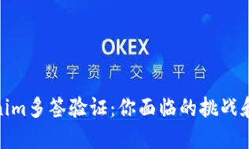 破解Tokenim多签验证：你面临的挑战和解决方案