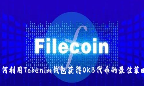 如何利用Tokenim钱包获得OKB代币的最佳策略？
