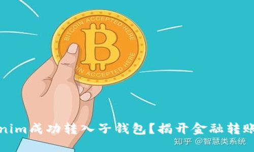 如何将Tokenim成功转入子钱包？揭开金融转账的神秘面纱