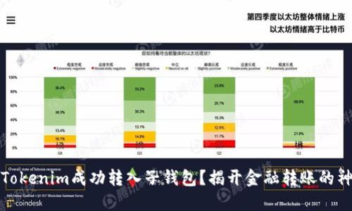 如何将Tokenim成功转入子钱包？揭开金融转账的神秘面纱