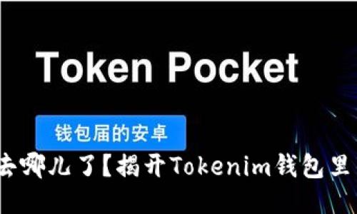 你的Kick币去哪儿了？揭开Tokenim钱包里的神秘面纱！
