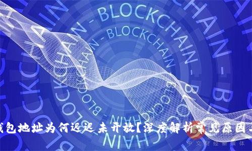 你的BTM钱包地址为何迟迟未开放?深度解析常见原因与解决方案