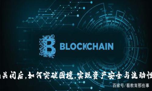 Tokenim关闭后，如何突破困境，实现资产安全与流动性双保障？