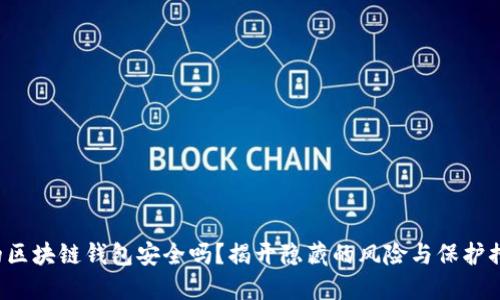 你的区块链钱包安全吗？揭开隐藏的风险与保护措施！