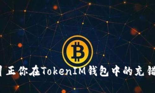 如何有效纠正你在TokenIM钱包中的充错地址问题？