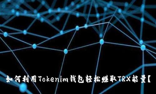 如何利用Tokenim钱包轻松赚取TRX能量？