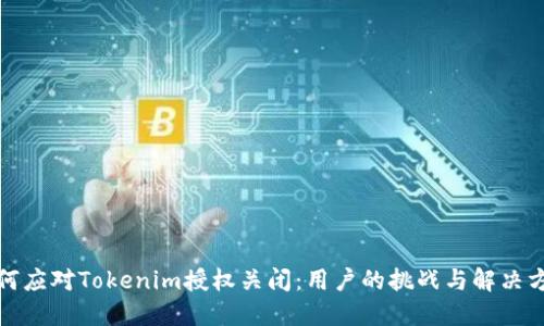 如何应对Tokenim授权关闭：用户的挑战与解决方案
