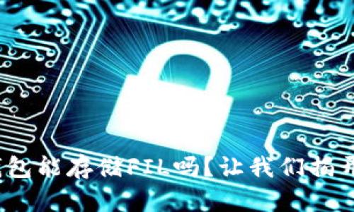 “Tokenim钱包能存储FIL吗？让我们揭开这层迷雾！”