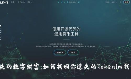 “丢失的数字财富：如何找回你遗失的Tokenim钱包？”