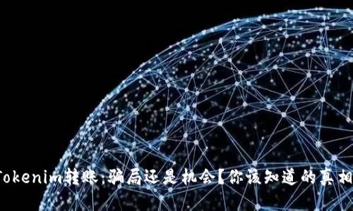 Tokenim转账：骗局还是机会？你该知道的真相！