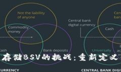 解决Tokenim无法存储BSV的挑