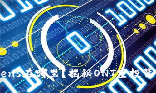 你的ONT Tokens在哪里？揭秘ONT空投背后的神秘面纱