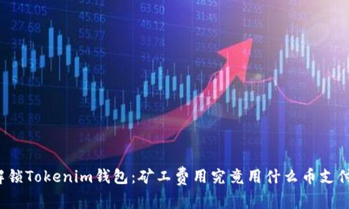 解锁Tokenim钱包：矿工费用究竟用什么币支付？