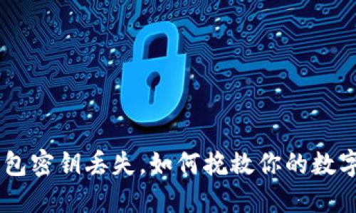 Tokenim钱包密钥丢失，如何挽救你的数字资产安全？