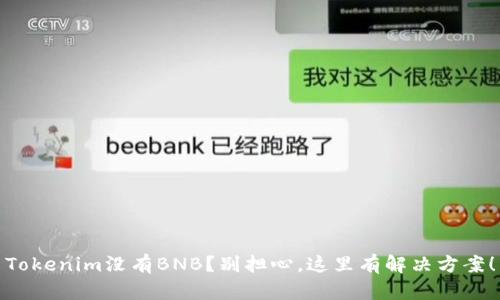 Tokenim没有BNB？别担心，这里有解决方案！