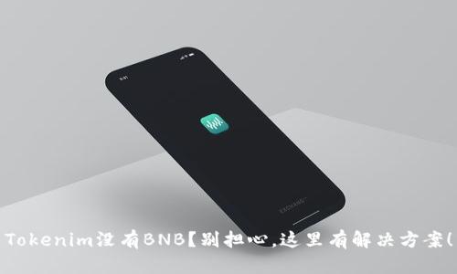 Tokenim没有BNB？别担心，这里有解决方案！