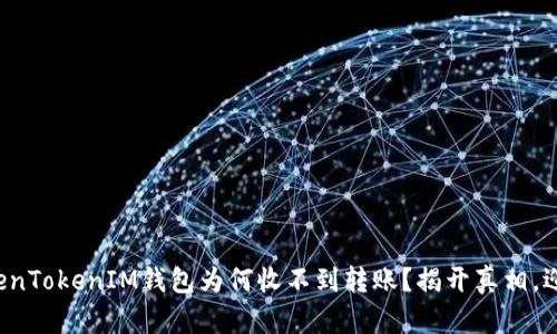 你的TokenTokenIM钱包为何收不到转账？揭开真相，迎接挑战！
