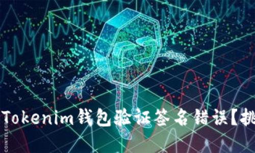 如何解决Tokenim钱包验证签名错误？挑战与对策