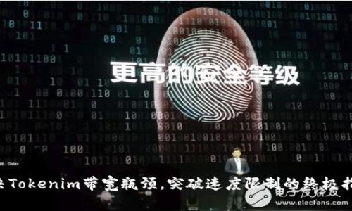 解决Tokenim带宽瓶颈，突破速度限制的终极指南！