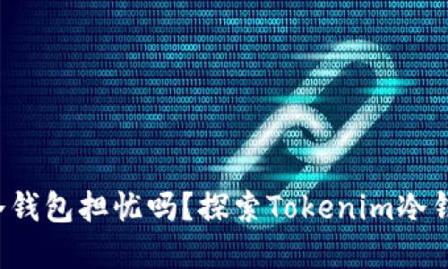 你还在为币安交易所的冷钱包担忧吗？探索Tokenim冷钱包对狗狗币的完美支持！