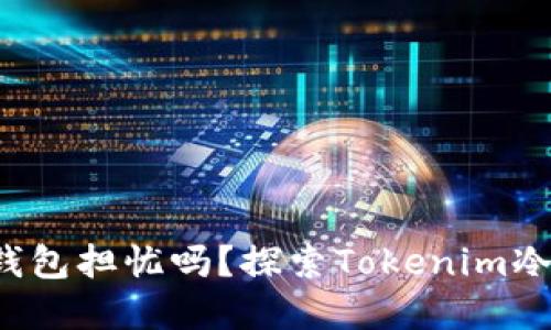 你还在为币安交易所的冷钱包担忧吗？探索Tokenim冷钱包对狗狗币的完美支持！