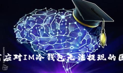 如何应对IM冷钱包无法提现的困境？