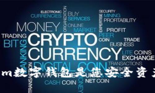 为什么Tokenim数字钱包是您安全资产的最佳选择？