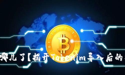 你的币去哪儿了？揭开Tokenim导入后的神秘面纱！