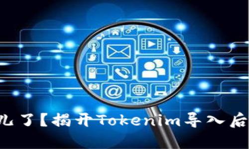 你的币去哪儿了？揭开Tokenim导入后的神秘面纱！