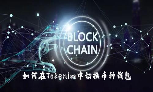如何在Tokenim中切换币种钱包