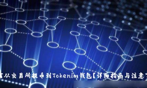 如何从交易所提币到Tokenim钱包？详细指南与注意事项