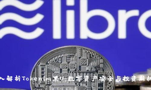深入解析Tokenim黑U：数字资产安全与投资新机遇