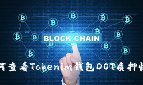 如何查看Tokenim钱包DOT质押收益