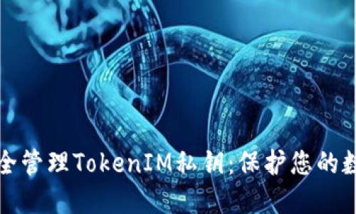 如何安全管理TokenIM私钥：保护您的数字资产