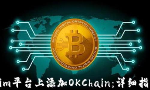 
如何在Tokenim平台上添加OKChain：详细指南与解决方案