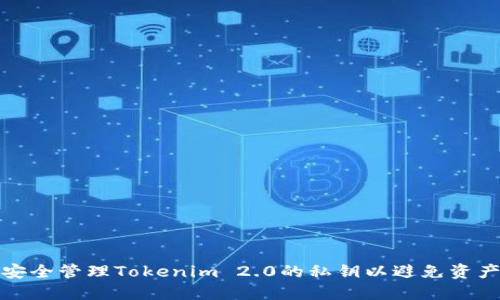 如何安全管理Tokenim 2.0的私钥以避免资产损失