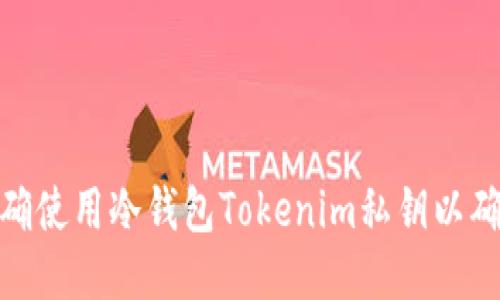 : 如何正确使用冷钱包Tokenim私钥以确保安全性