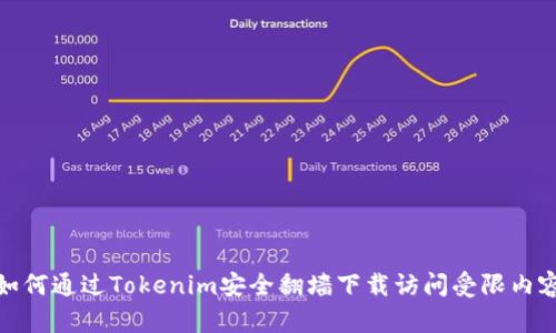 如何通过Tokenim安全翻墙下载访问受限内容
