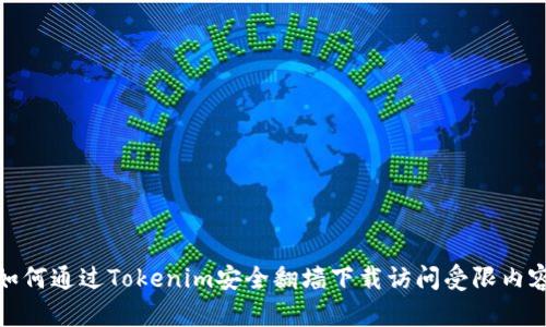 如何通过Tokenim安全翻墙下载访问受限内容