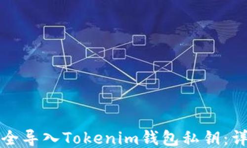 
如何安全导入Tokenim钱包私钥：详细指南