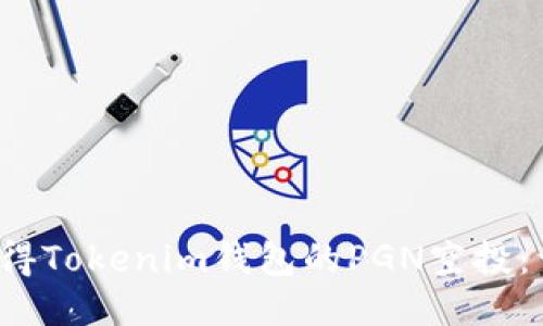  如何获得Tokenim钱包的PGN空投：详尽指南