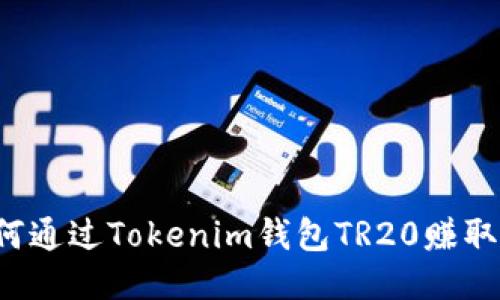  如何通过Tokenim钱包TR20赚取能量