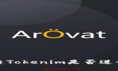  如何检查Tokenim是否进行了