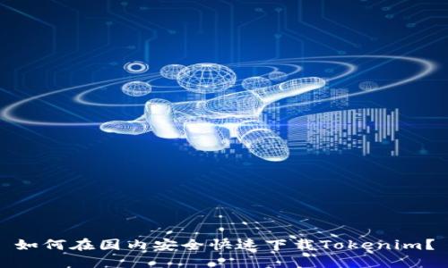 如何在国内安全快速下载Tokenim？