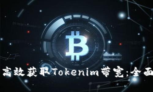 如何高效获取Tokenim带宽：全面指南