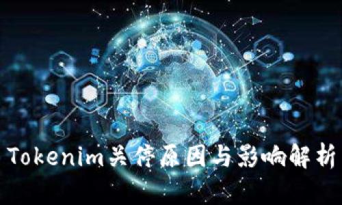 Tokenim关停原因与影响解析