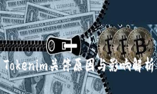 Tokenim关停原因与影响解析