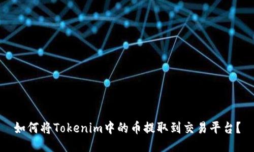 如何将Tokenim中的币提取到交易平台？