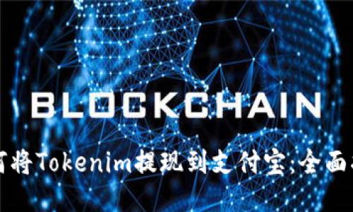 如何将Tokenim提现到支付宝：全面指南